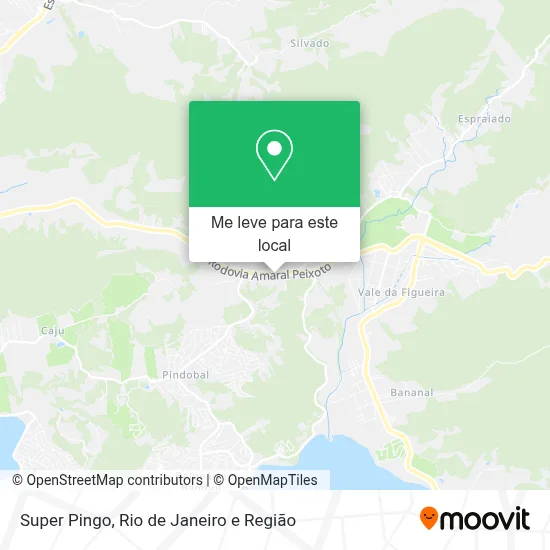 Super Pingo mapa