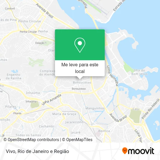 Vivo mapa