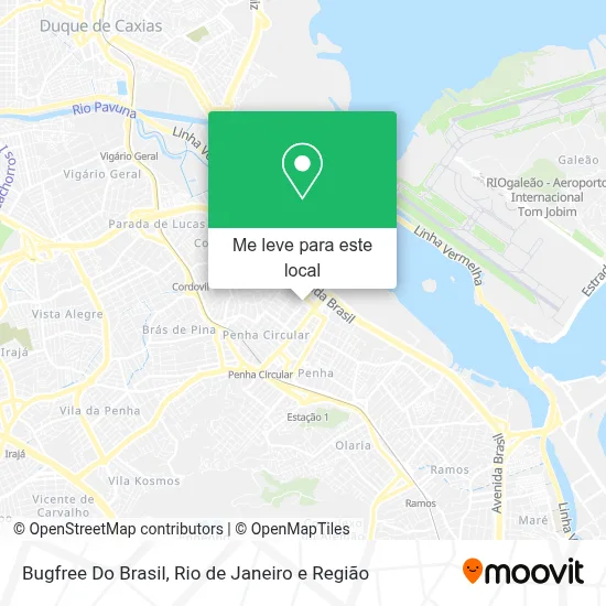 Bugfree Do Brasil mapa