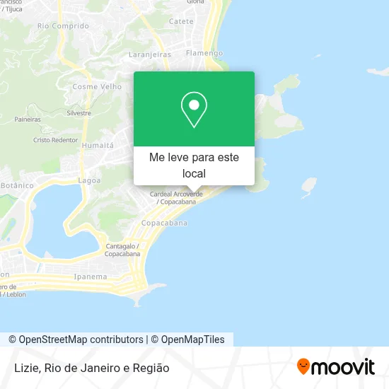 Lizie mapa