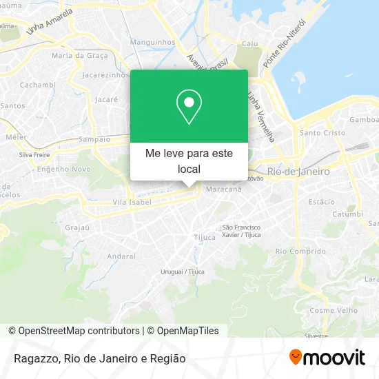 Ragazzo mapa