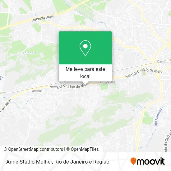 Anne Studio Mulher mapa