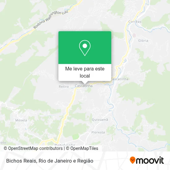 Bichos Reais mapa