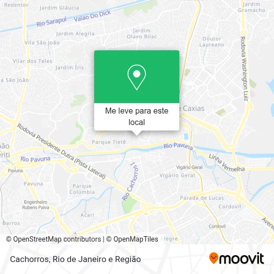 Cachorros mapa