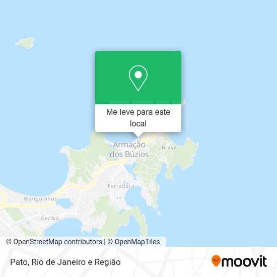 Pato mapa