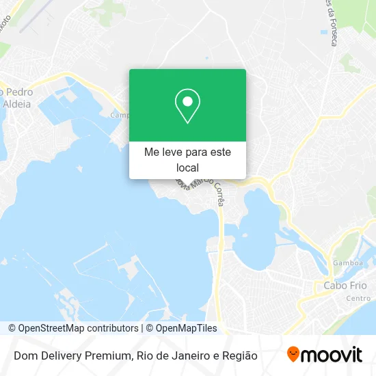 Dom Delivery Premium mapa