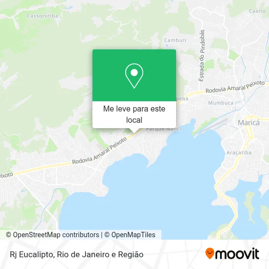 Rj Eucalipto mapa