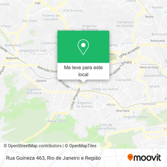 Rua Guineza 463 mapa