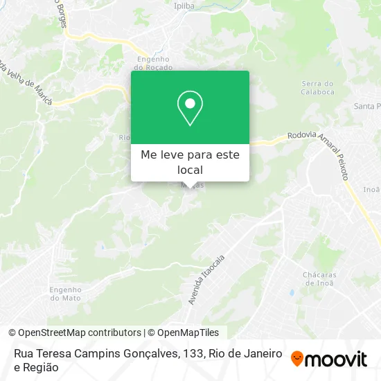 Rua Teresa Campins Gonçalves, 133 mapa