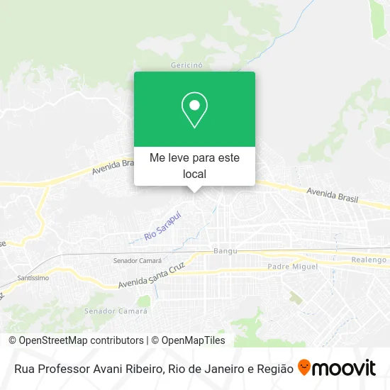 Rua Professor Avani Ribeiro mapa