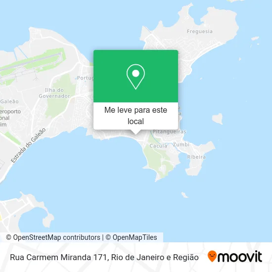 Rua Carmem Miranda 171 mapa