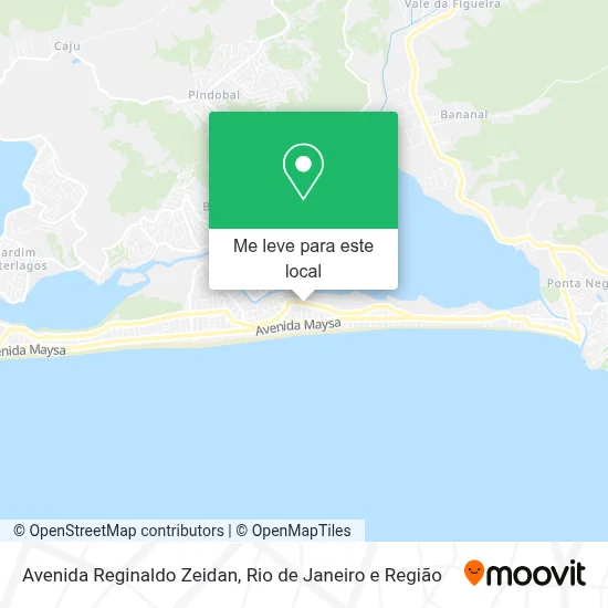 Avenida Reginaldo Zeidan mapa