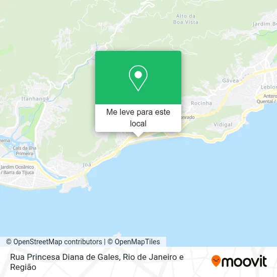 Rua Princesa Diana de Gales mapa