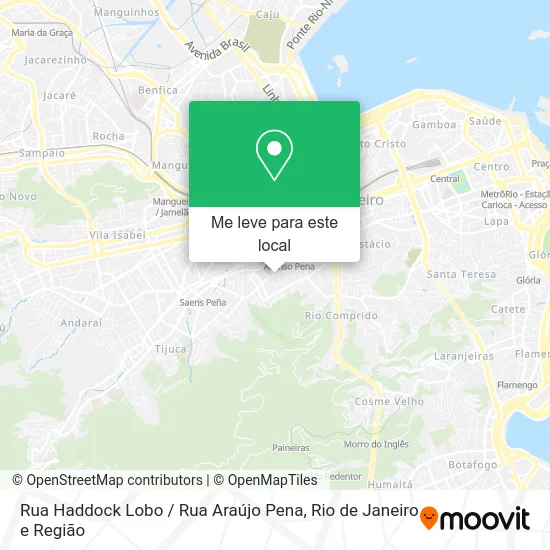 Rua Haddock Lobo / Rua Araújo Pena mapa