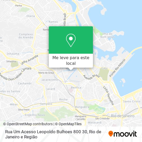 Rua Um Acesso Leopoldo Bulhoes 800 30 mapa