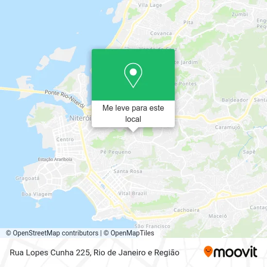 Rua Lopes Cunha 225 mapa