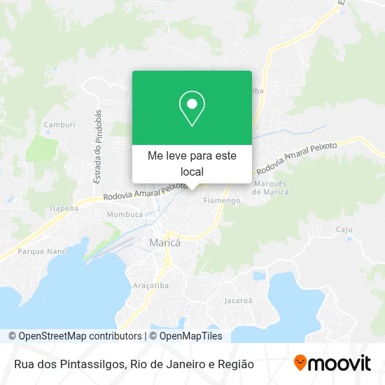 Rua dos Pintassilgos mapa