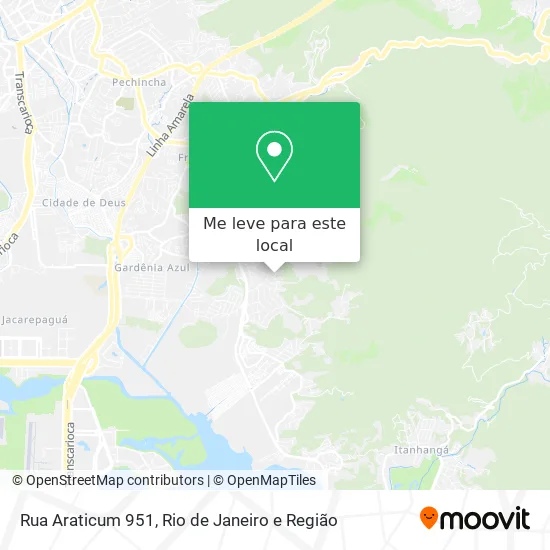 Rua Araticum 951 mapa