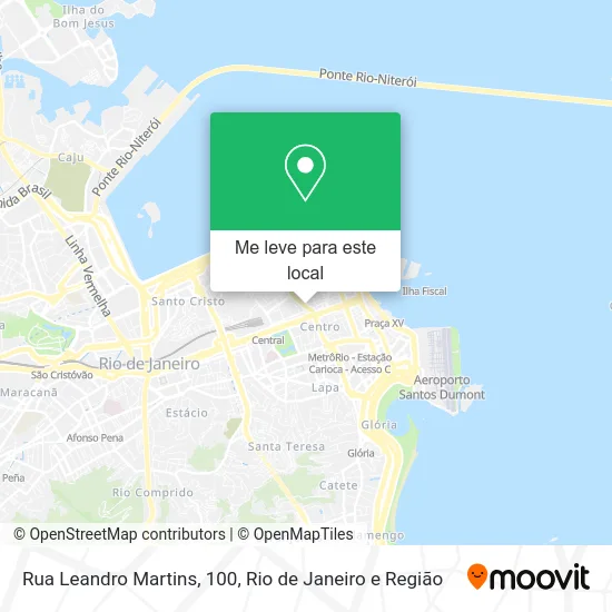 Rua Leandro Martins, 100 mapa