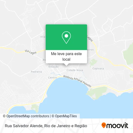 Rua Salvador Alende mapa