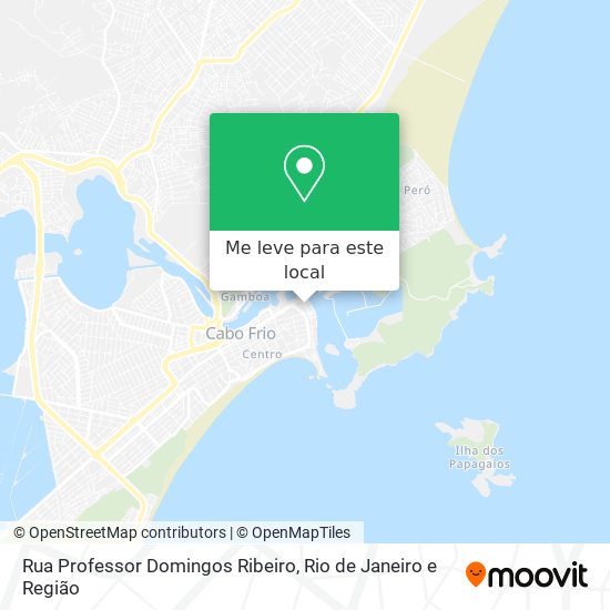 Rua Professor Domingos Ribeiro mapa