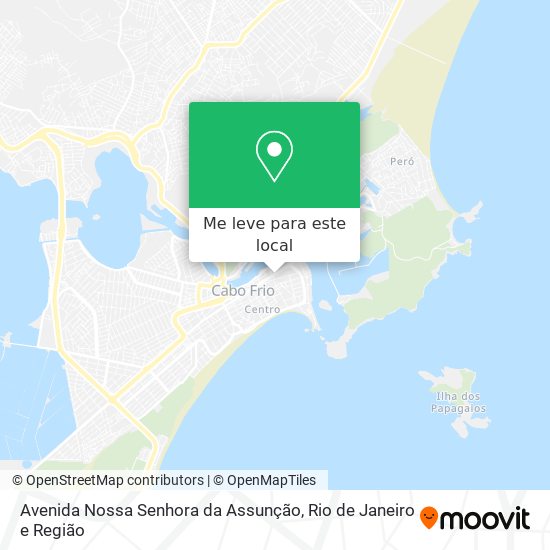 Avenida Nossa Senhora da Assunção mapa