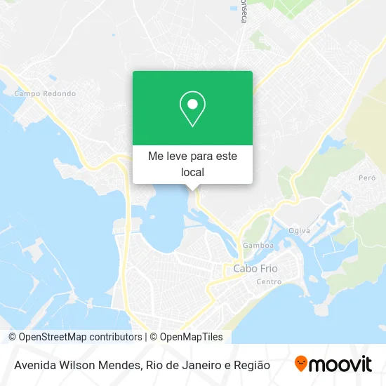 Avenida Wilson Mendes mapa