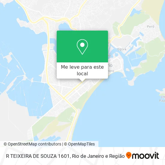 R TEIXEIRA DE SOUZA 1601 mapa
