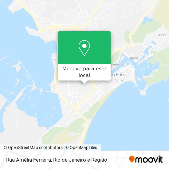 Rua Amélia Ferreira mapa