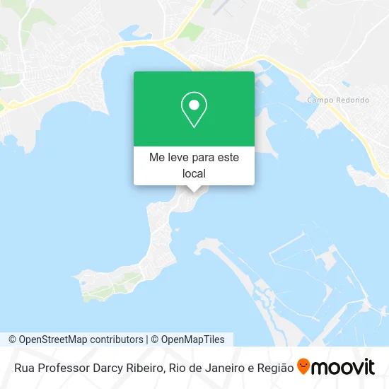 Rua Professor Darcy Ribeiro mapa