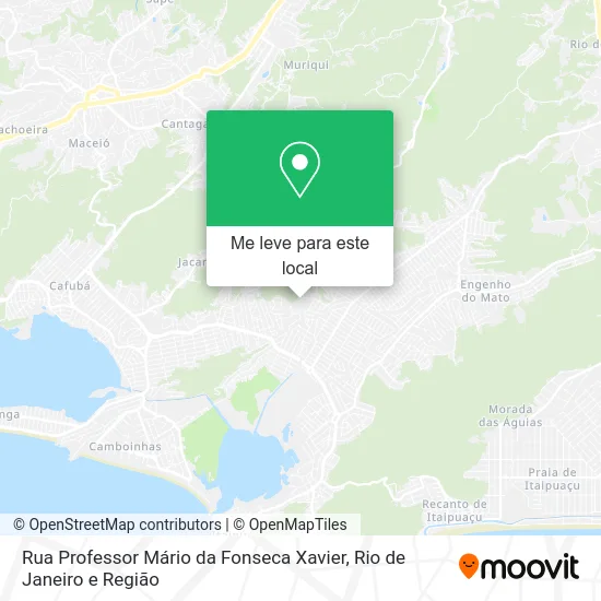 Rua Professor Mário da Fonseca Xavier mapa