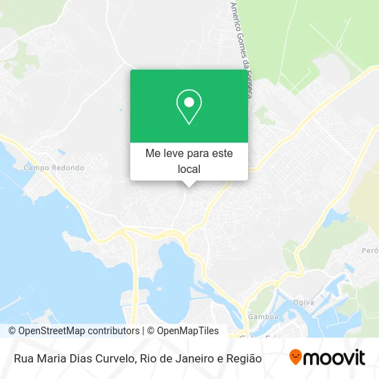 Rua Maria Dias Curvelo mapa