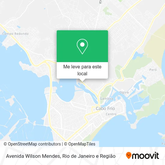 Avenida Wilson Mendes mapa