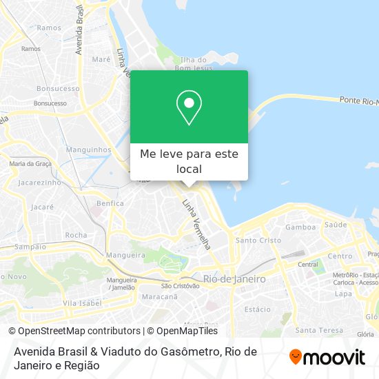Avenida Brasil & Viaduto do Gasômetro mapa