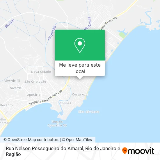 Rua Nélson Pessegueiro do Amaral mapa