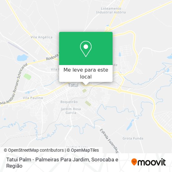 Tatui Palm - Palmeiras Para Jardim mapa