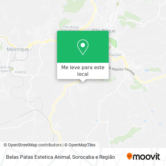 Belas Patas Estetica Animal mapa