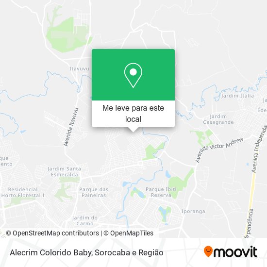 Alecrim Colorido Baby mapa