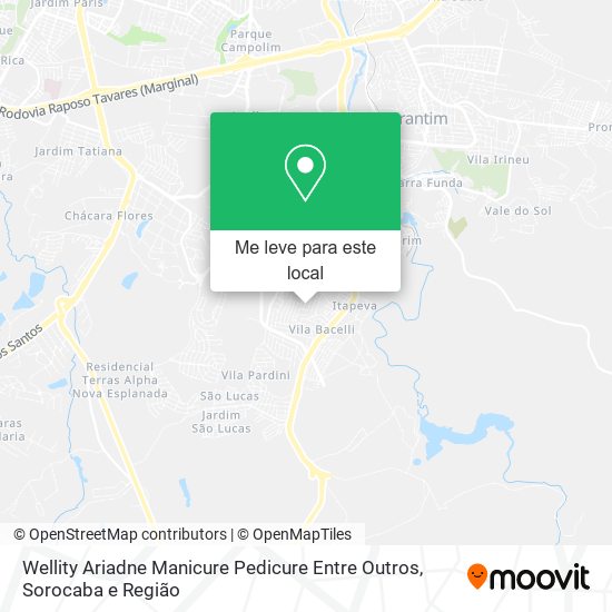 Wellity Ariadne Manicure Pedicure Entre Outros mapa