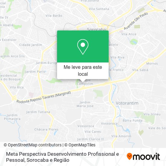 Meta Perspectiva Desenvolvimento Profissional e Pessoal mapa