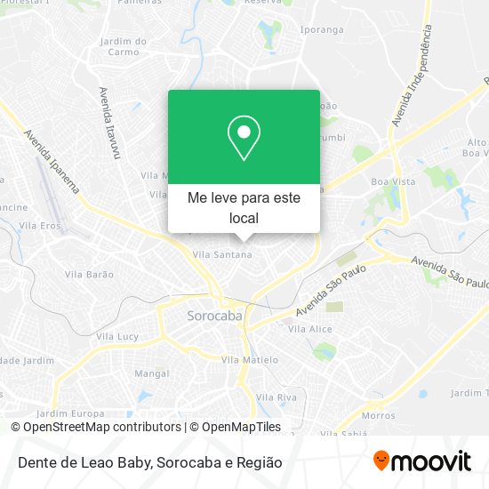 Dente de Leao Baby mapa