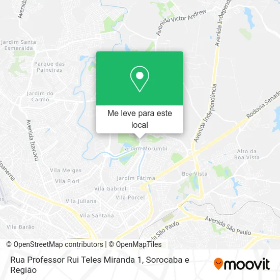 Rua Professor Rui Teles Miranda 1 mapa