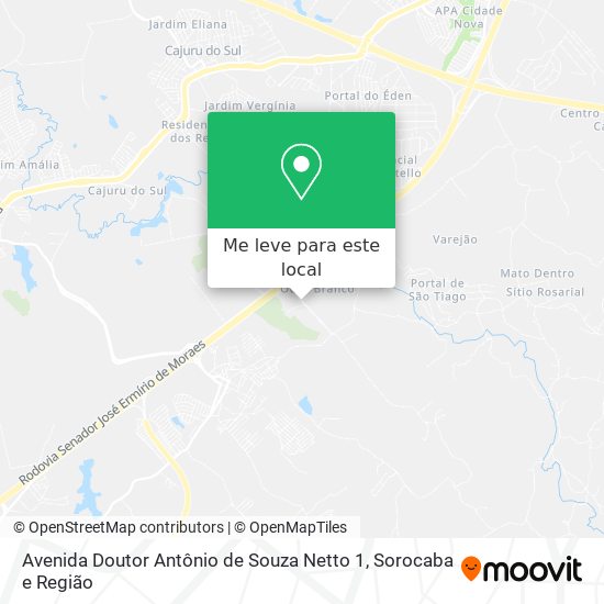 Avenida Doutor Antônio de Souza Netto 1 mapa