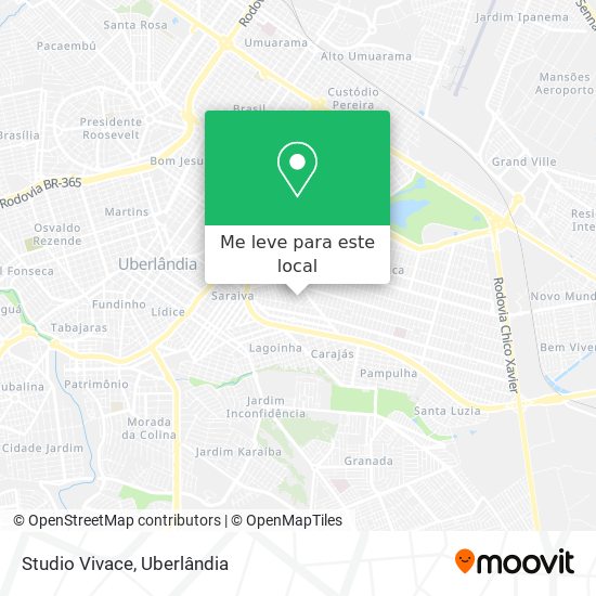 Studio Vivace mapa