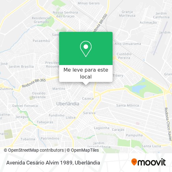 Avenida Cesário Alvim 1989 mapa