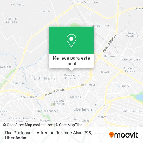 Rua Professora Alfredina Rezende Alvin 298 mapa