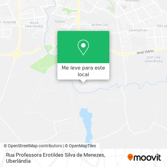 Rua Professora Erotildes Silva de Menezes mapa