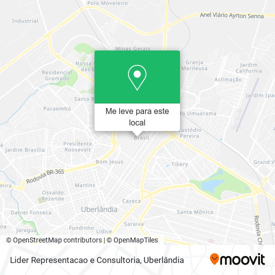 Lider Representacao e Consultoria mapa