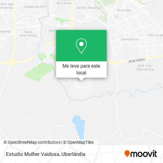 Estudio Mulher Vaidosa mapa