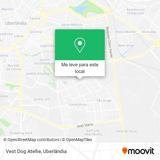 Vest Dog Atellie mapa